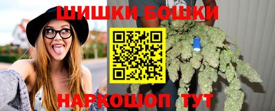 Альфа ПВП Сланцы