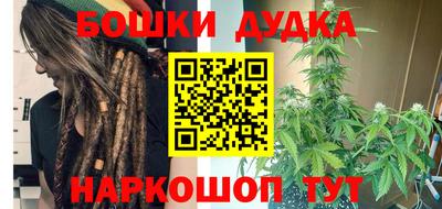 Альфа ПВП Сланцы