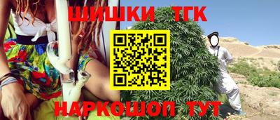 Альфа ПВП Сланцы