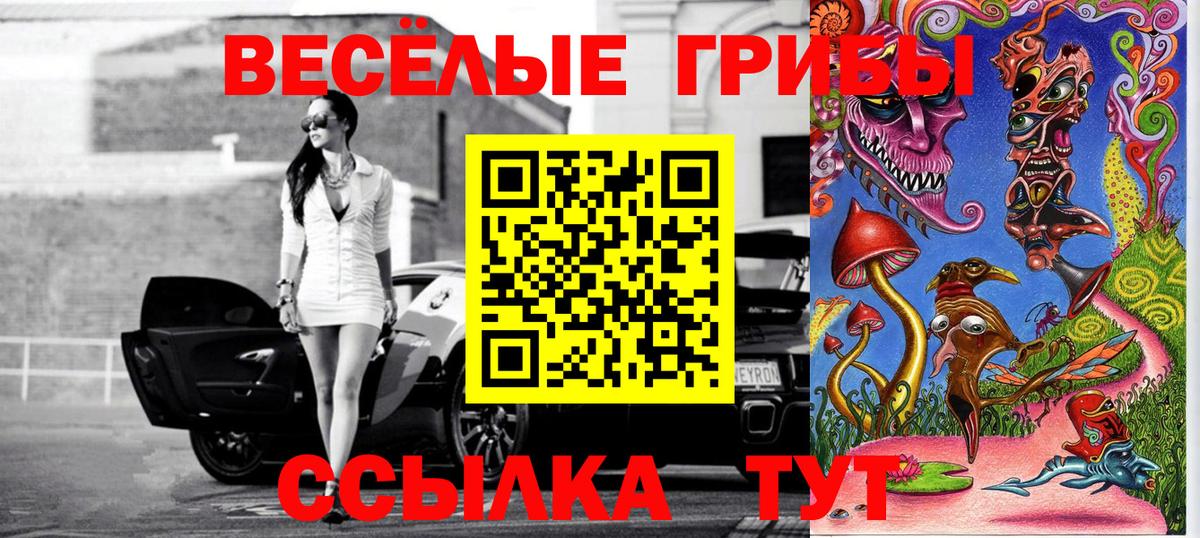 Славянск-на-Кубани  Галлюциногенные грибы ЛСД  Вход с VPN 