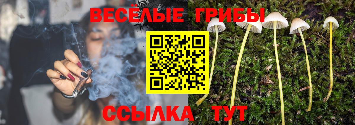 Галлюциногенные грибы мухоморы Славянск-на-Кубани
